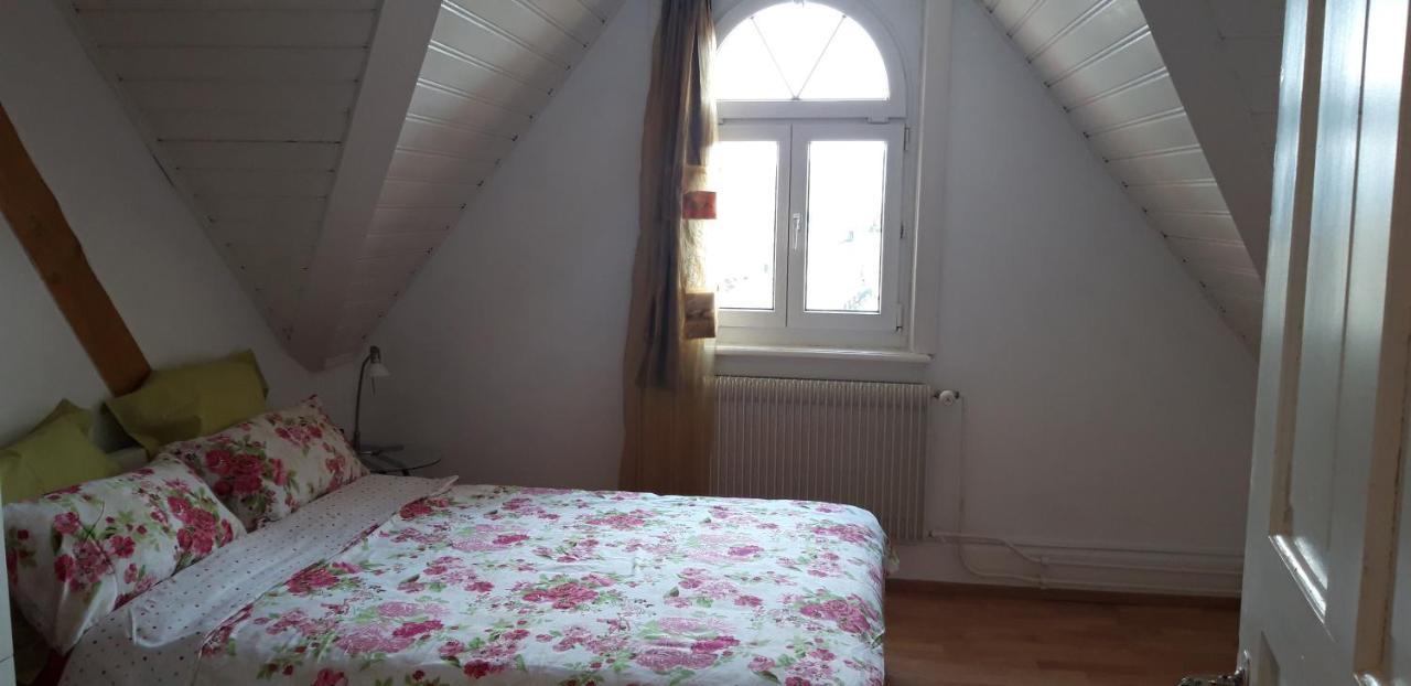 Ferienwohnung Stein Am Rhein Nahe Bahnhof Und Rhein Екстериор снимка