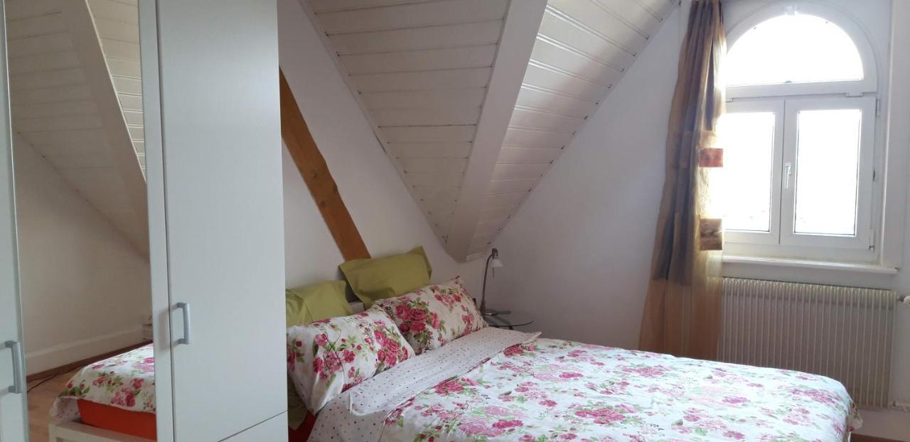 Ferienwohnung Stein Am Rhein Nahe Bahnhof Und Rhein Екстериор снимка